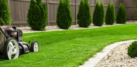 man cutting grass
