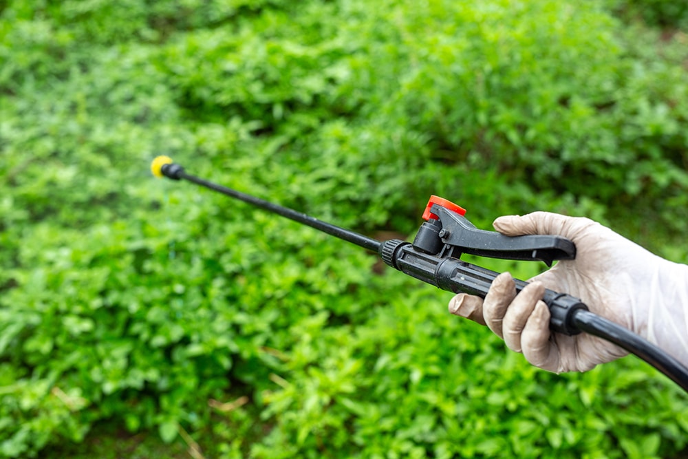 worker spraying for insects