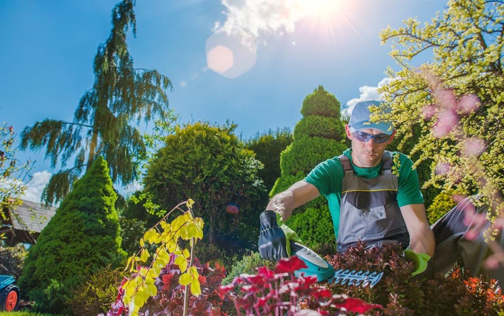 A Scott's Lawn Care worker helps a yard grow greener this summer.