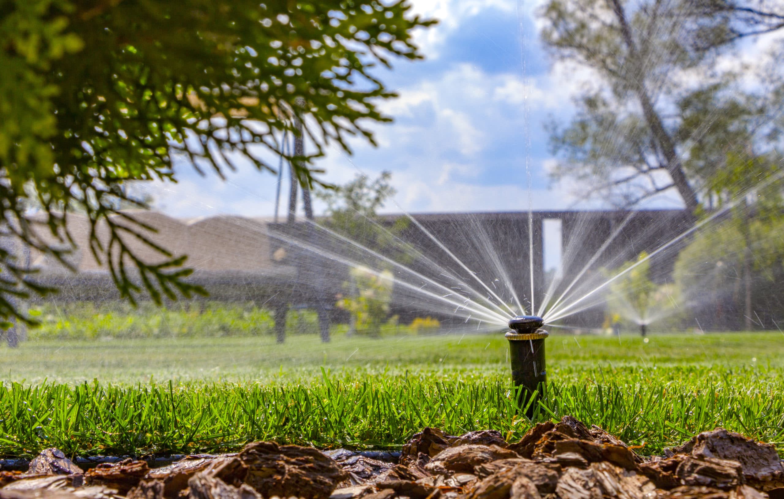 Watering And Drainage For Your Property featured image