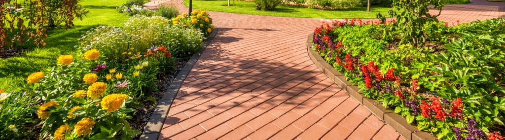 A professionally landscaped pathway at a business.