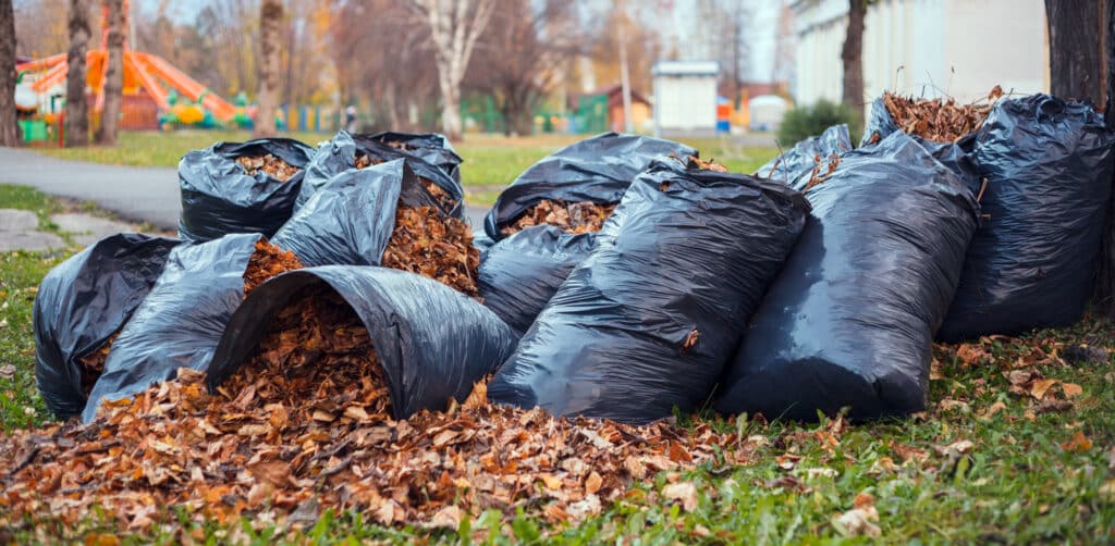 Bags of raked leaves by Scott's Lawn Care Services
