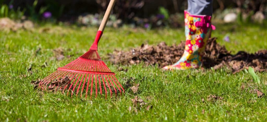 A person raking a lawn with a red rake while wearing boots with flowers on them.