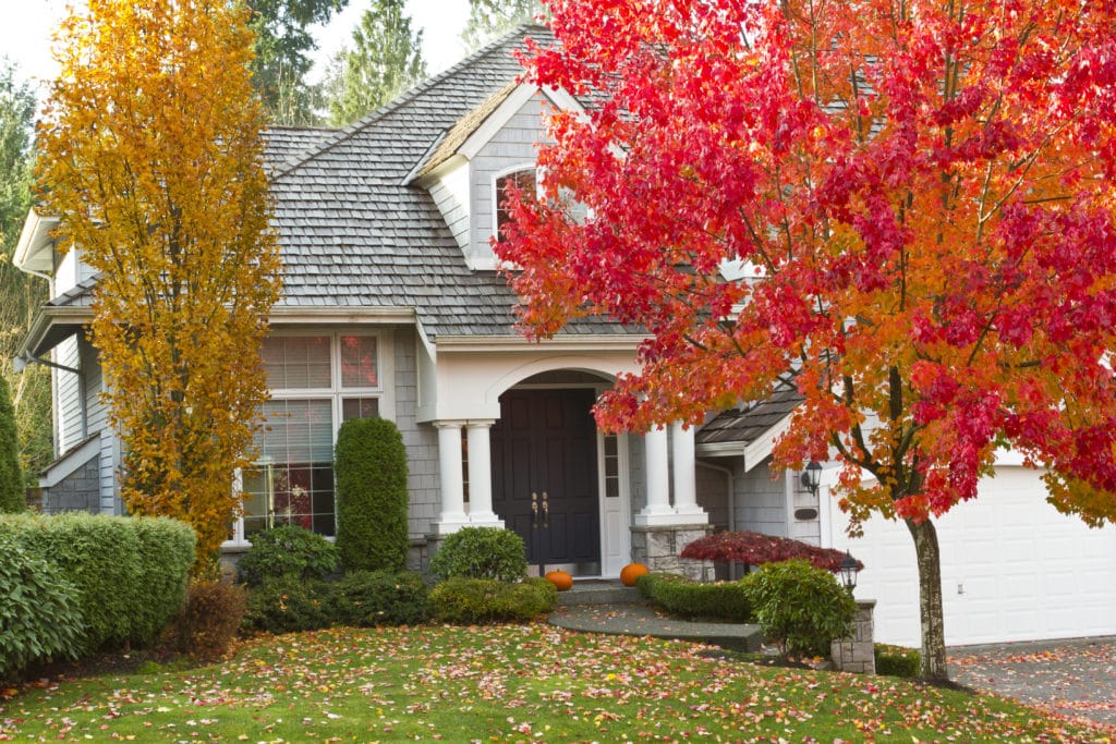 What To Do with All Those Leaves - Scott's Lawn Care