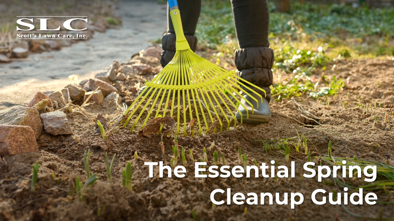 The Essential Spring Cleanup Guide featured image