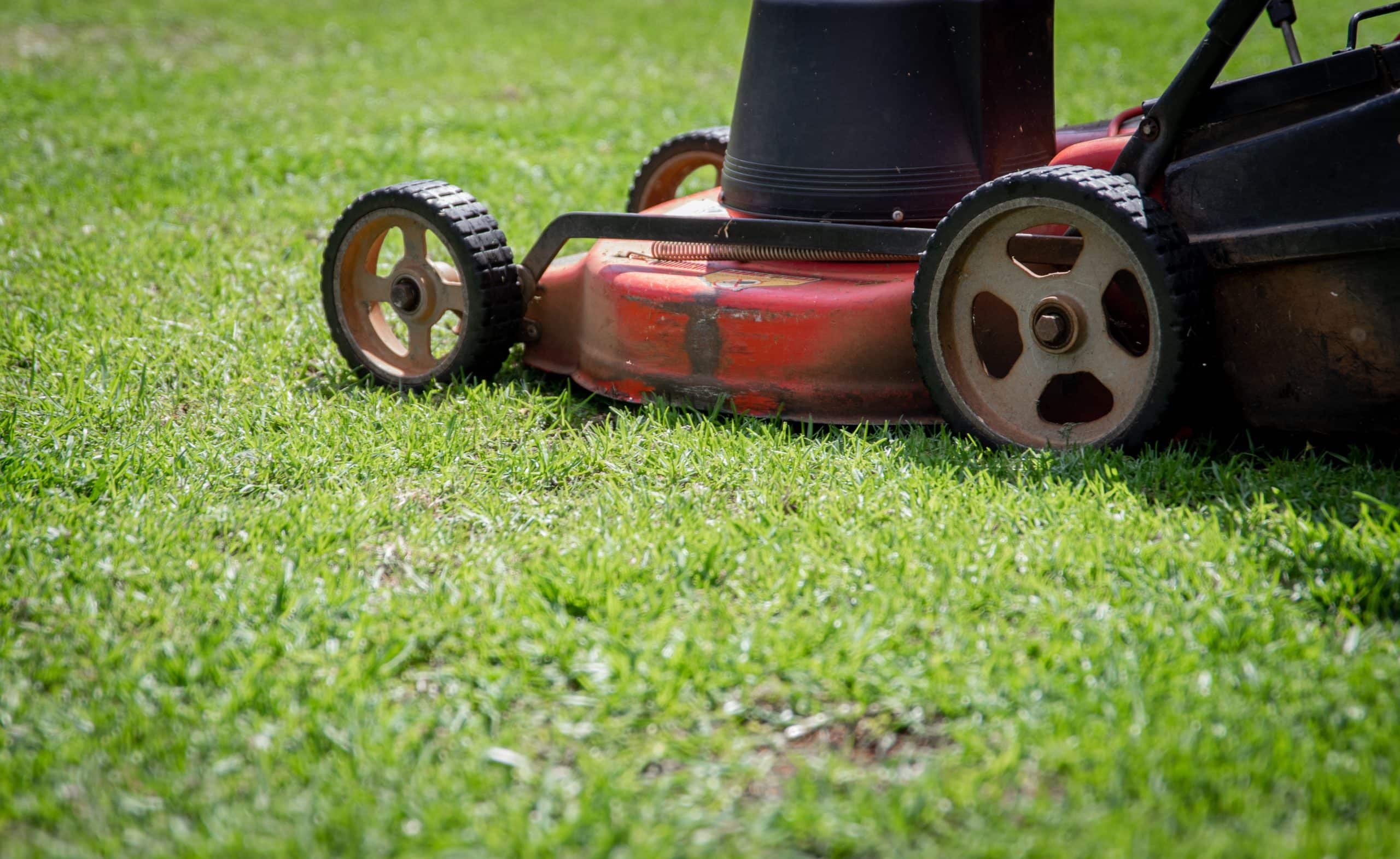 Scott's Lawn Care answers the question "When's the Best Time to Mow Your Lawn" with a photo of a push lawn mower moving across short grass.