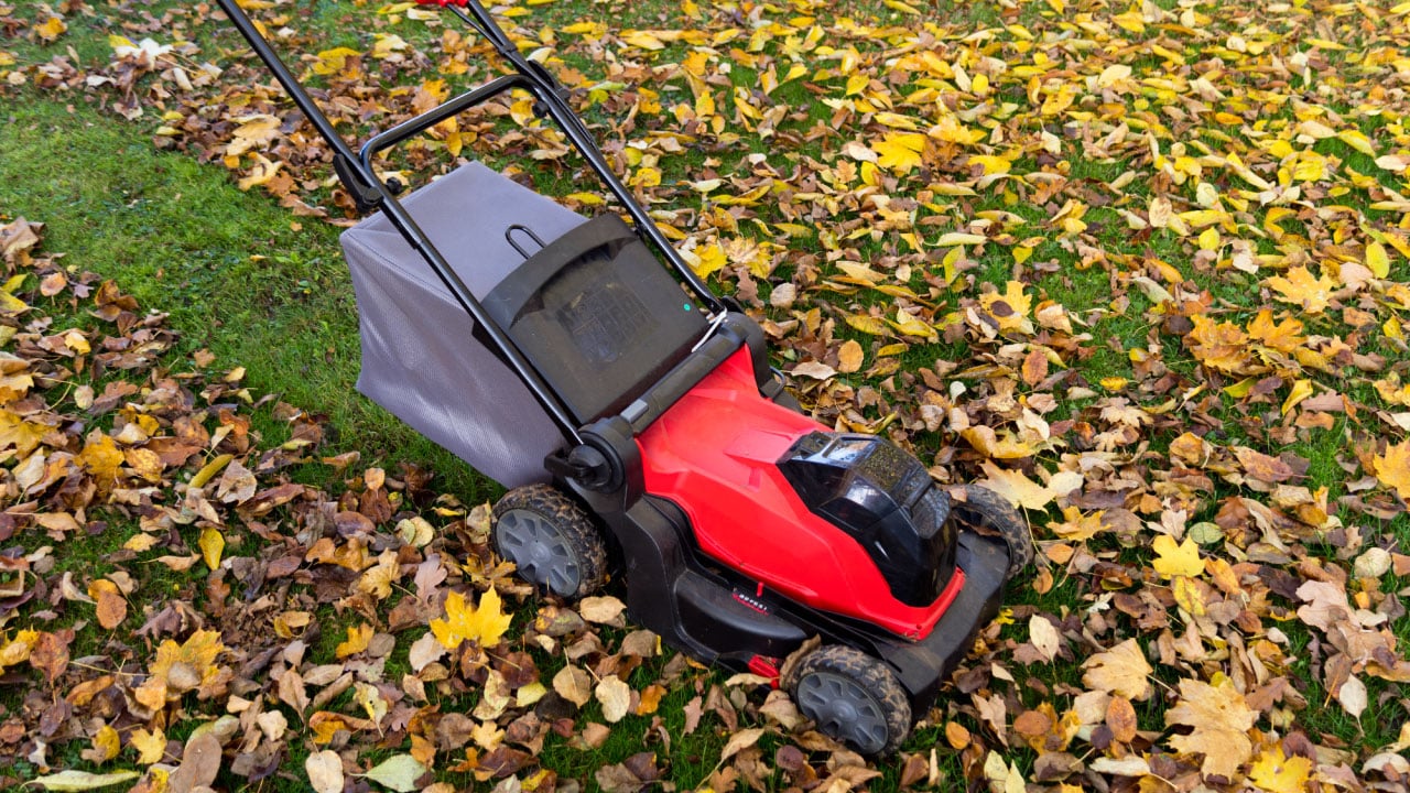 Why You Mow Differently in Fall (and How to Do It) featured image