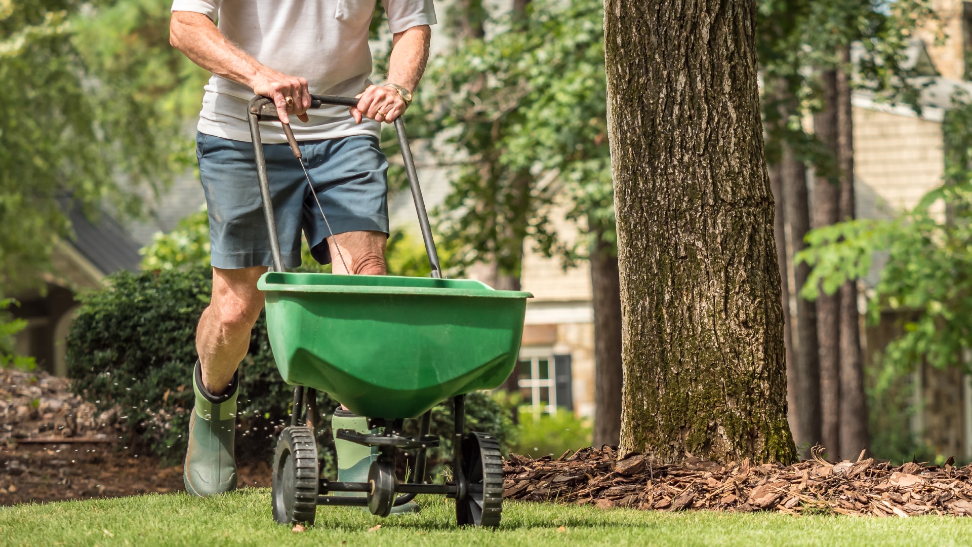 Top Reasons to Hire a Professional Lawn Care Service This Spring featured image