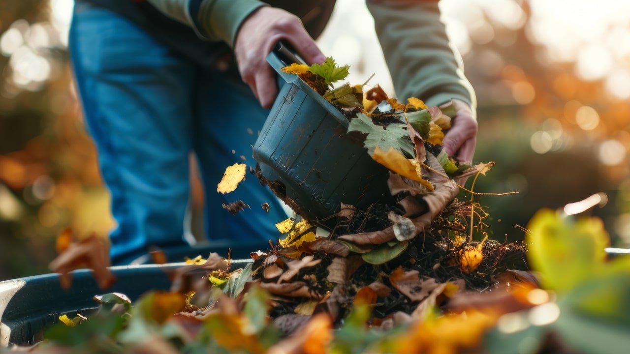 Fall clean up