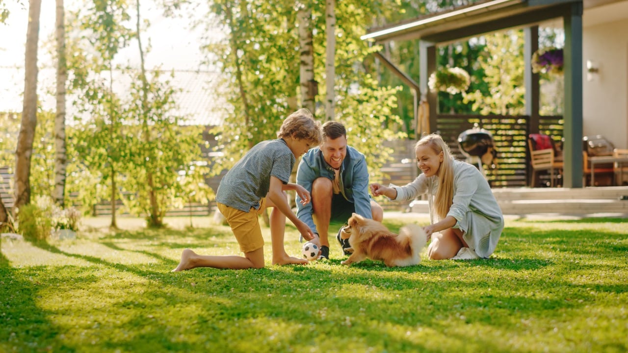 Pet-Safe Lawn Care: Protecting Dogs, Kids, and Your Yard featured image